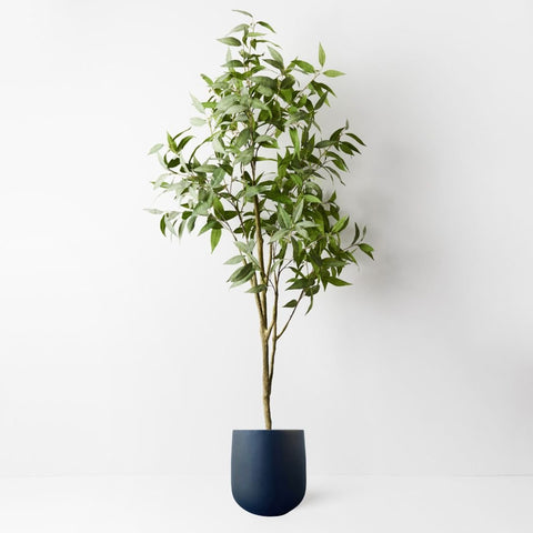 Eucalyptus Tree Green - Evergreen Walls