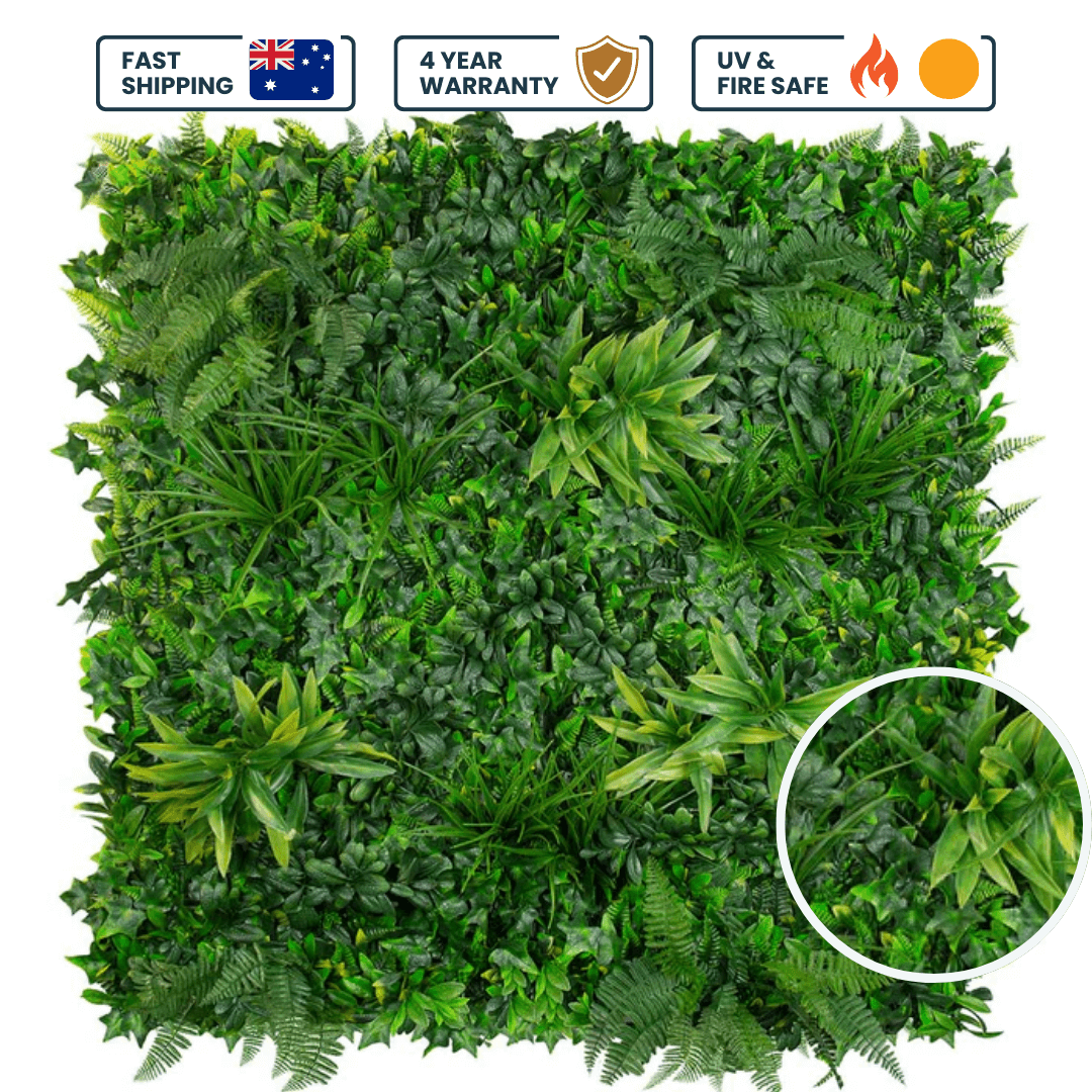 Evergreen Coastal - Evergreen Walls