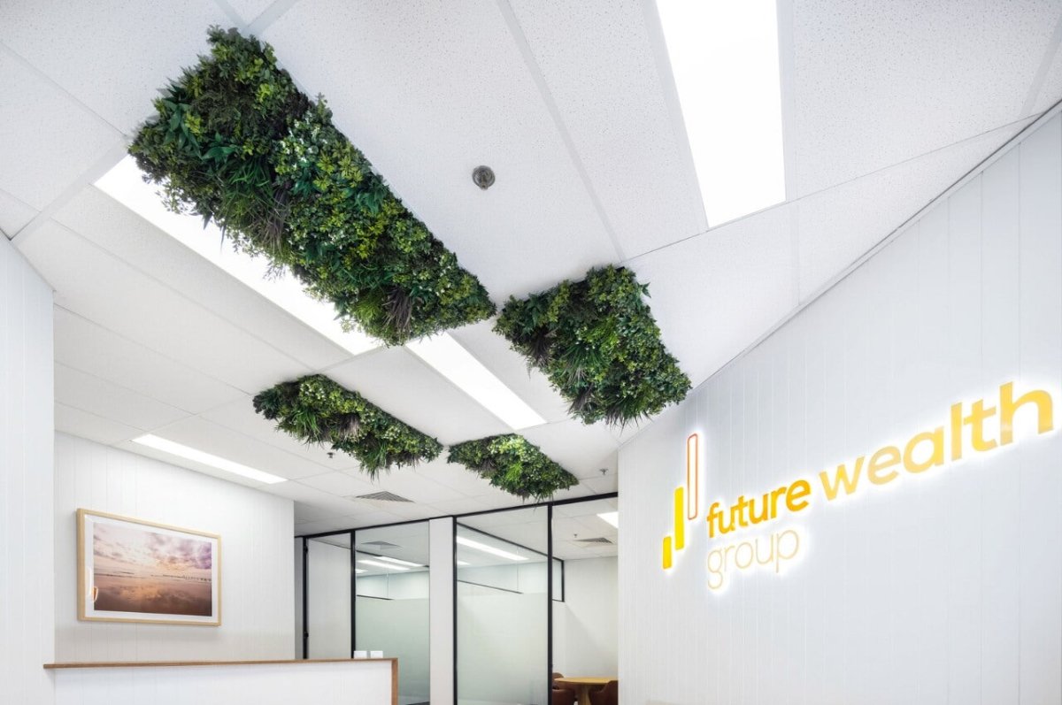 Evergreen Premium Ceiling Tile - Evergreen Walls