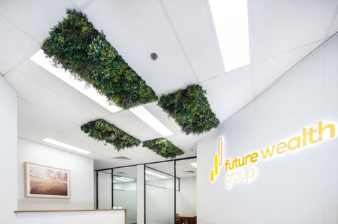 Evergreen Premium Ceiling Tile - Evergreen Walls