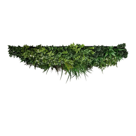 Evergreen Premium Ceiling Tile - Evergreen Walls