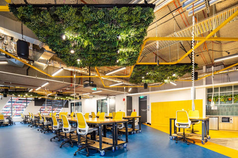 Evergreen Premium Ceiling Tile - Evergreen Walls