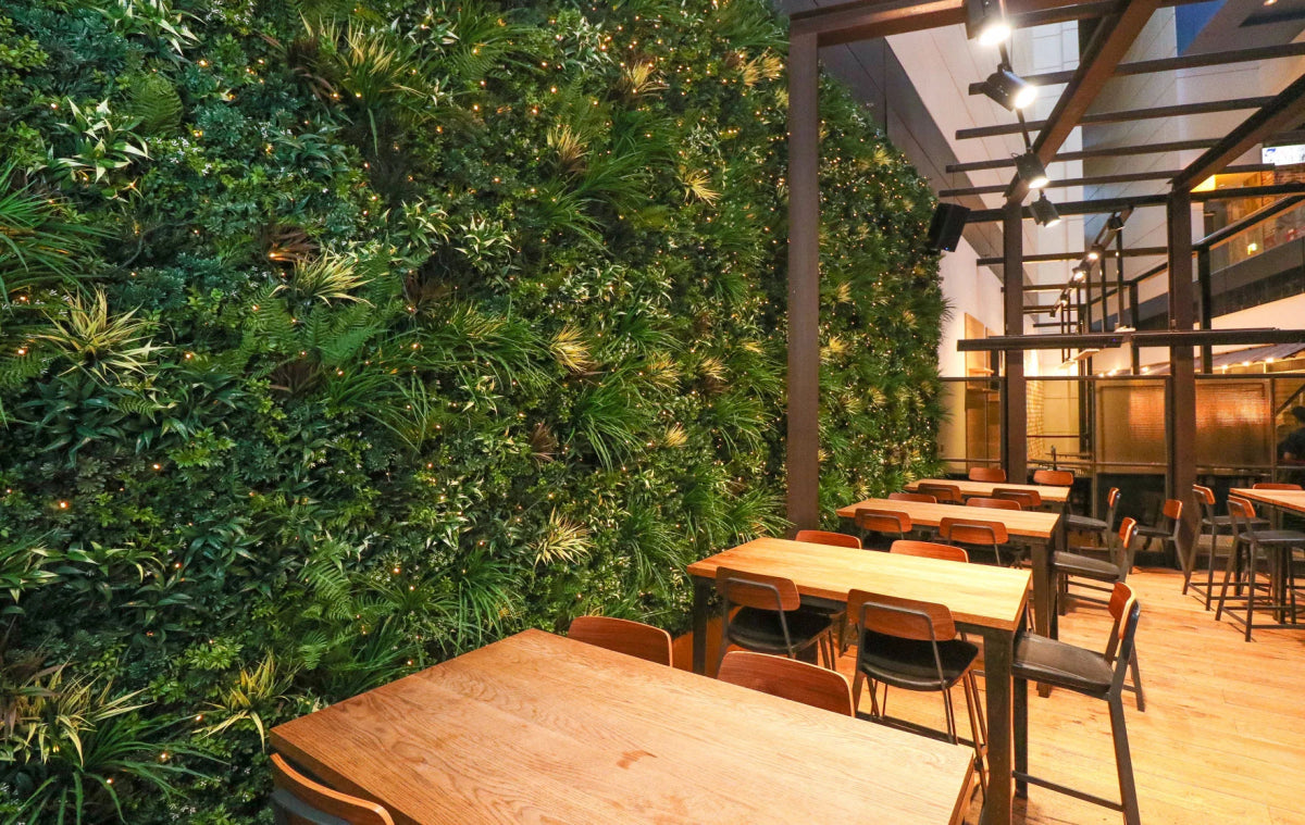 Evergreen Premium - Evergreen Walls