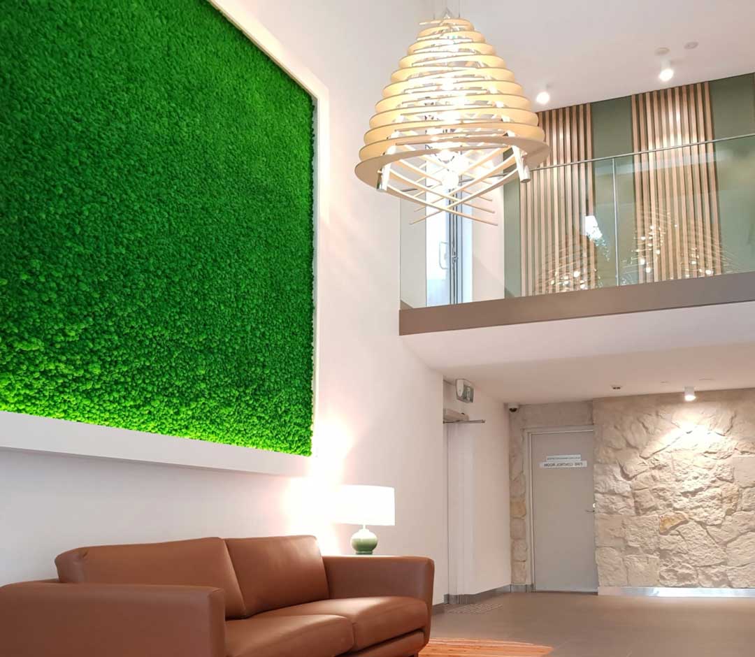 evergreen moss