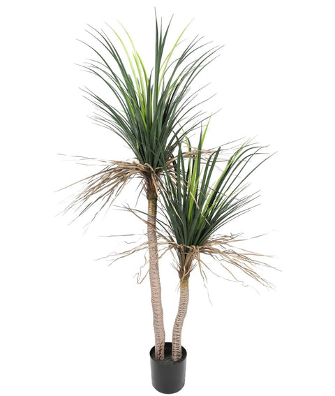 Grass Yucca Tree Double Trunk UV - Evergreen Walls