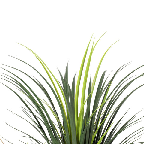Grass Yucca Tree Double Trunk UV - Evergreen Walls