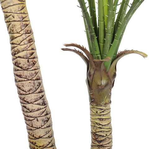Kentia Palm Double Trunk UV 120cm - Evergreen Walls