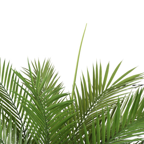 Kentia Palm Tree UV 180cm - Evergreen Walls