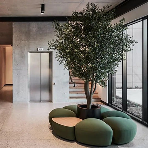 Olive Tree 300cm - Evergreen Walls