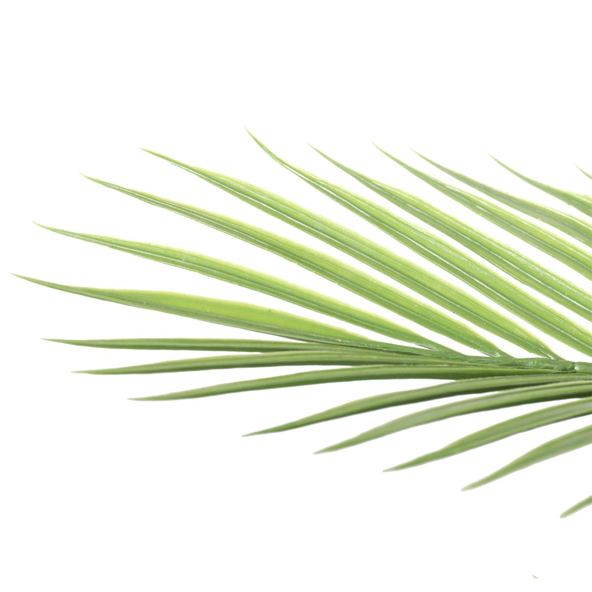 Pair Bundle - 2 x Areca Palm Plants UV 150cm - Evergreen Walls