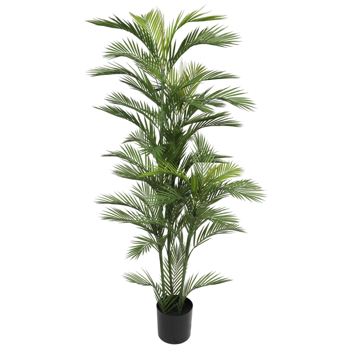 Pair Bundle - 2 x Areca Palms UV 180cm - Evergreen Walls