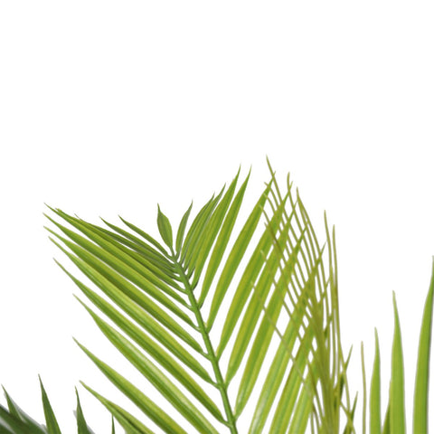 Pair Bundle - 2 x Areca Palms UV 180cm - Evergreen Walls