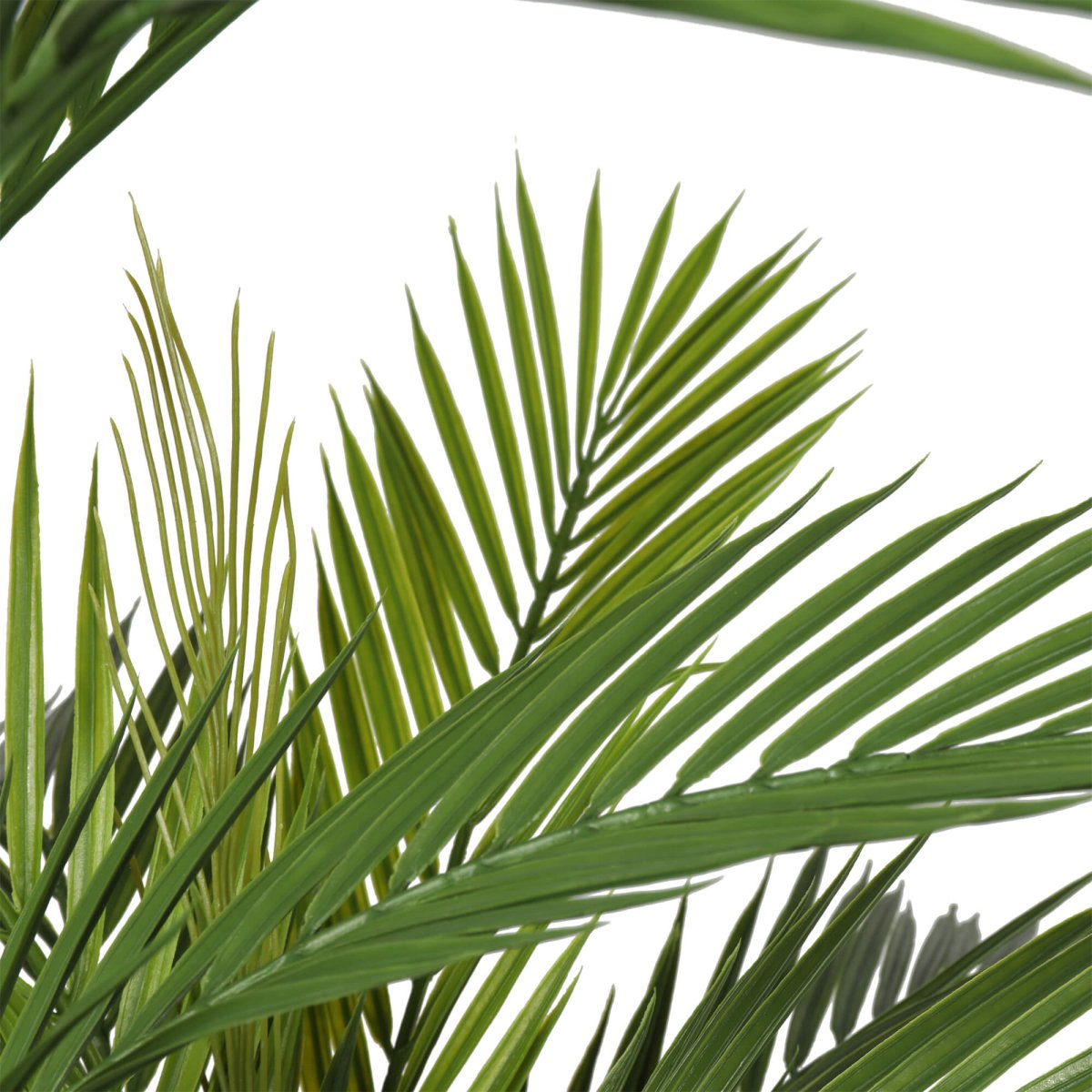 Pair Bundle - 2 x Areca Palms UV 180cm - Evergreen Walls