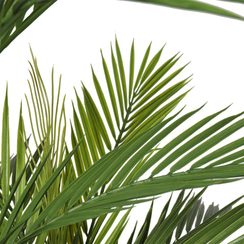Pair Bundle - 2 x Areca Palms UV 180cm - Evergreen Walls