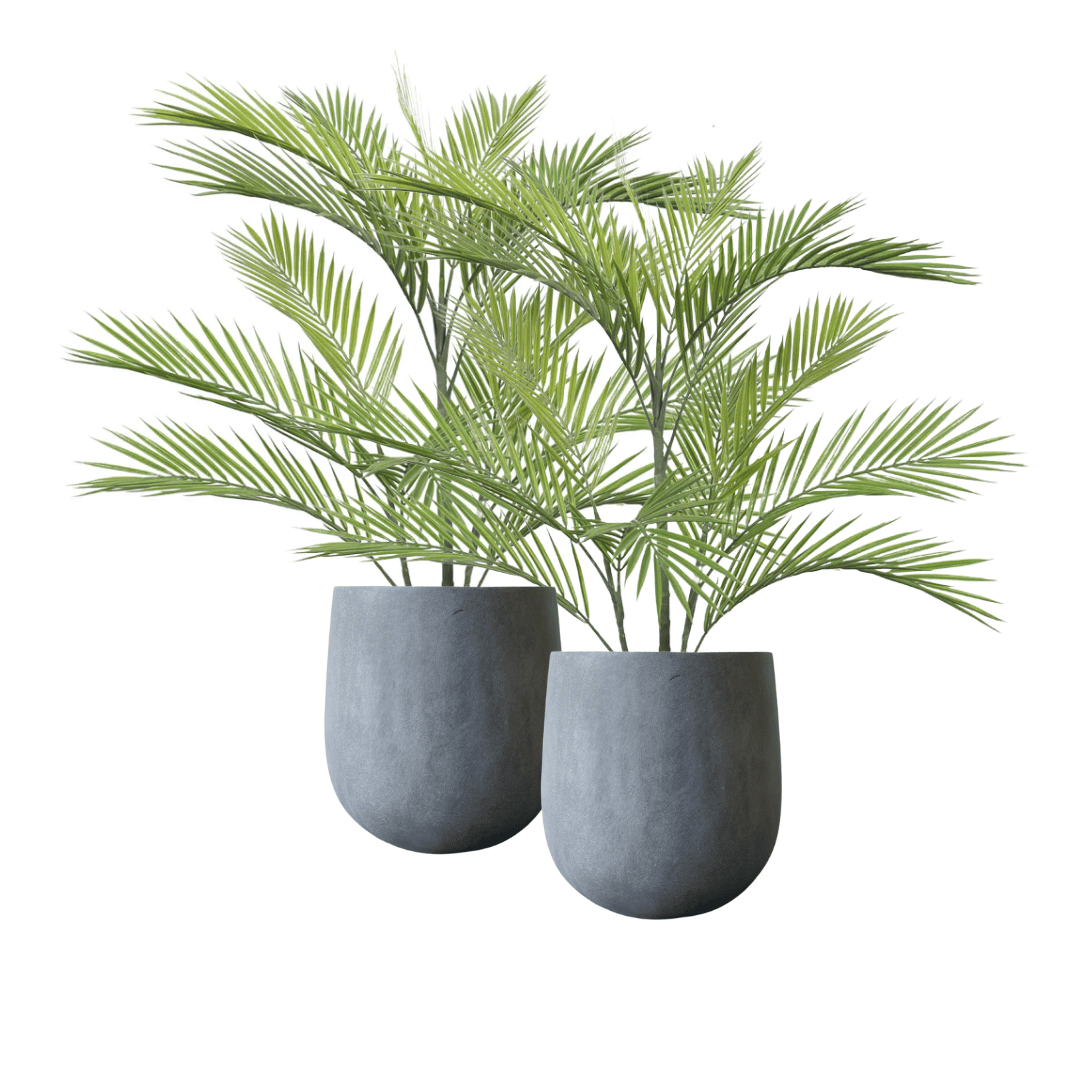 Pair Bundle - 2 x Baby Areca Palms UV 96cm - Evergreen Walls