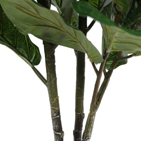 Pair Bundle - 2 x Ficus Fiddle Leaf Plants 120cm - Evergreen Walls