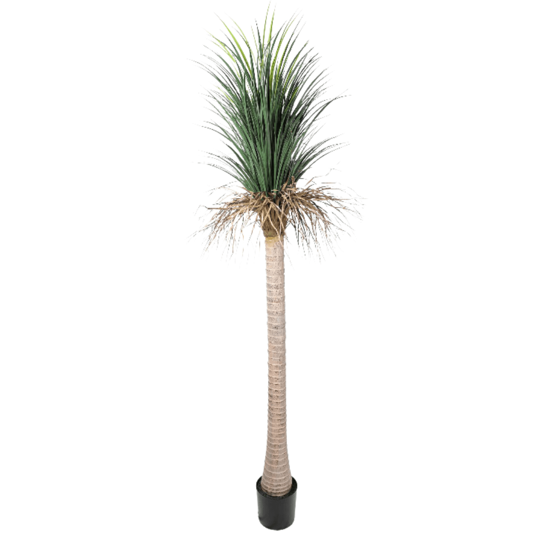 Pair Bundle - 2 x Grass Yucca Tree UV 220cm - Evergreen Walls