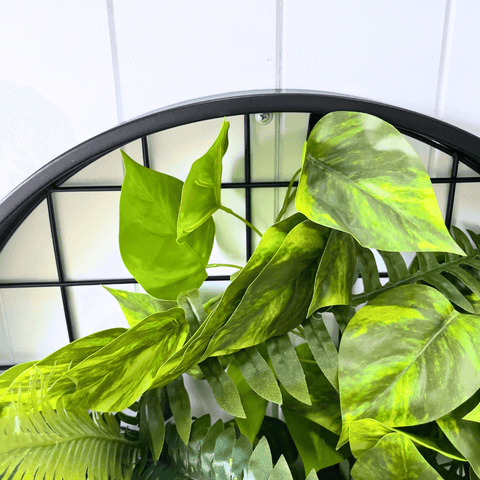 Planter Discs - Evergreen Walls