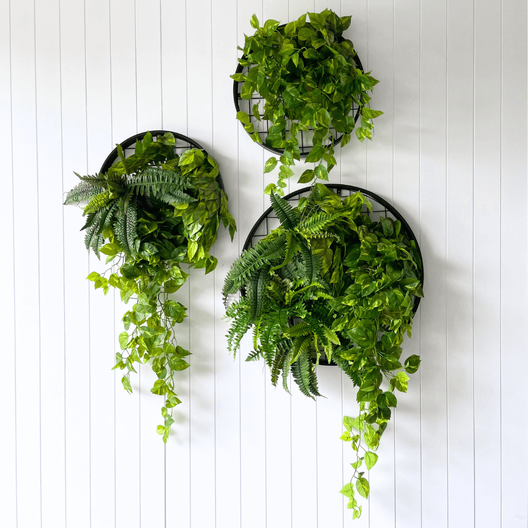 Planter Discs - Evergreen Walls