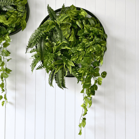 Planter Discs - Evergreen Walls