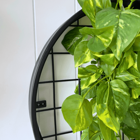 Planter Discs - Evergreen Walls