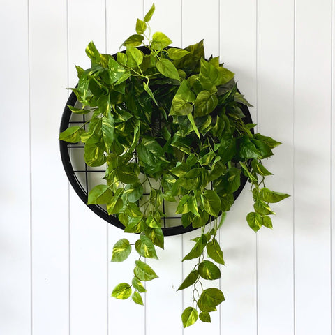 Planter Discs - Evergreen Walls