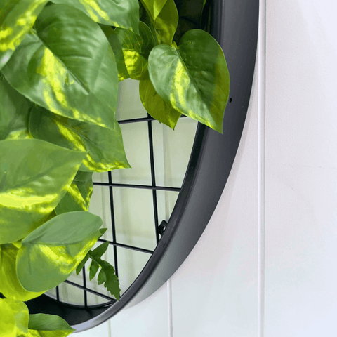 Planter Discs - Evergreen Walls