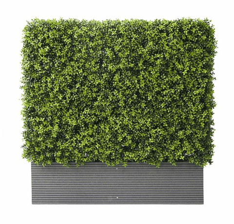 Portable Boxwood Hedge Planter UV - Evergreen Walls