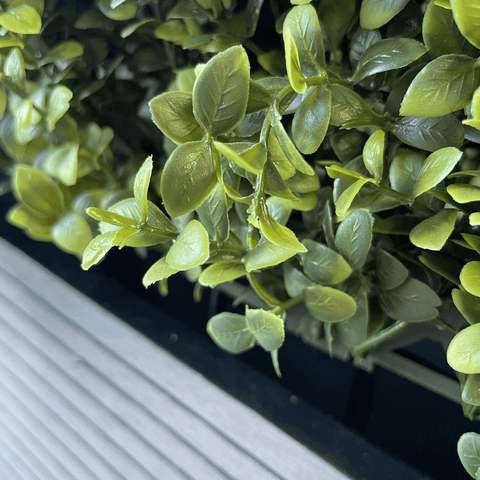 Portable Boxwood Hedge Planter UV - Evergreen Walls