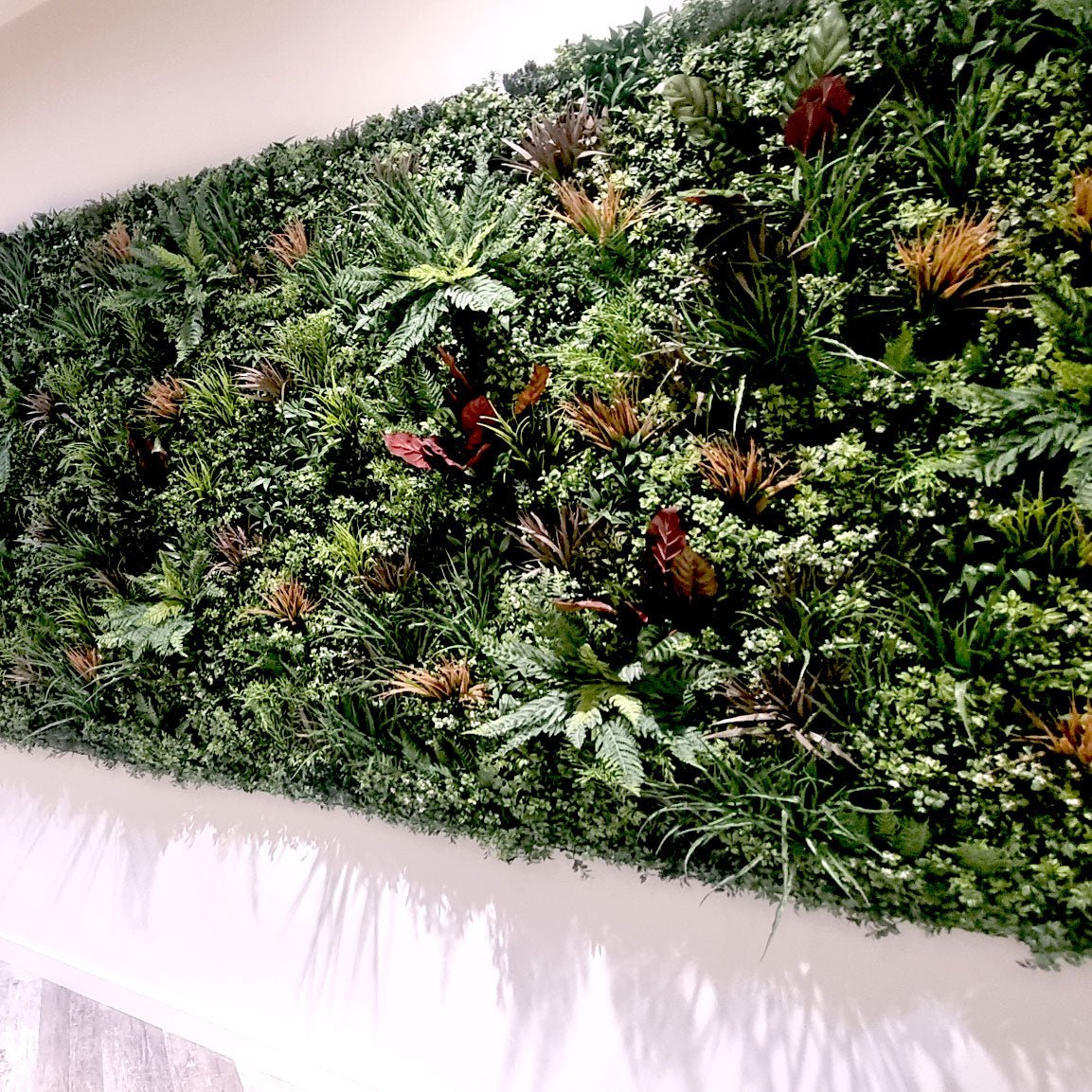 Premium Amazon - Evergreen Walls