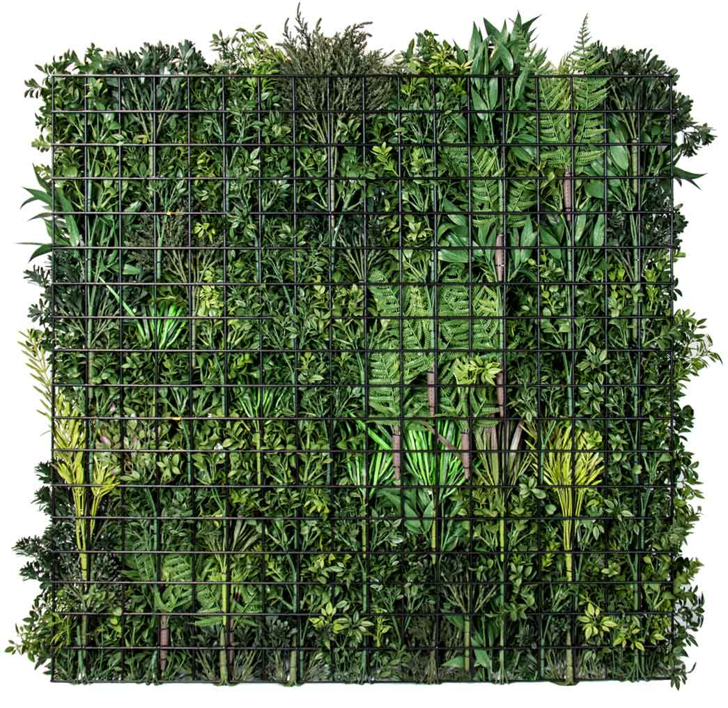 Premium Bloom - Evergreen Walls