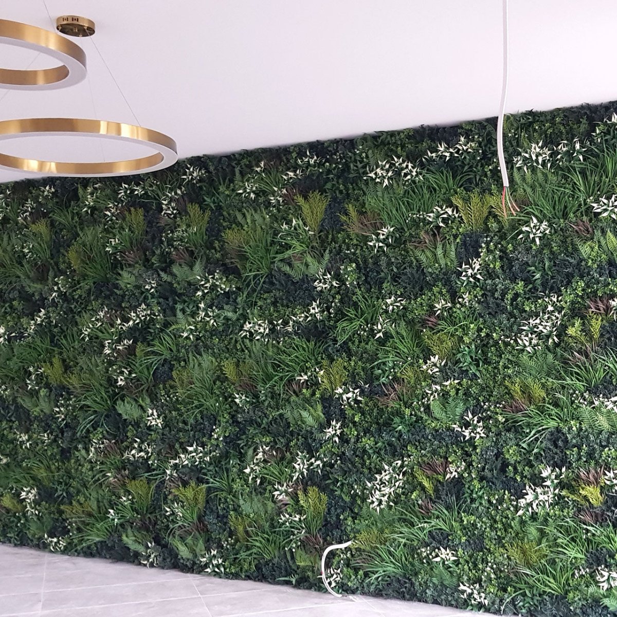 Premium Spring - Evergreen Walls