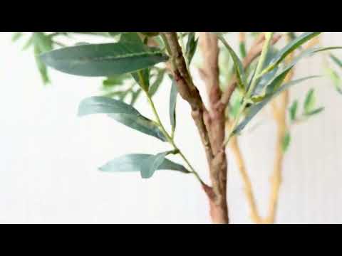 Evergreen Walls | Artificial Olive Trees