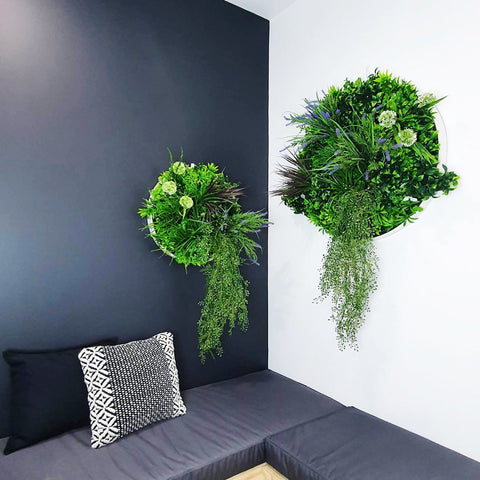 Triple Disc Bundle - 3 x Bloom (S,M,L) - Evergreen Walls