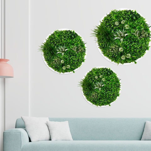 Triple Disc Bundle - 3 x Blossom (S,M,L) - Evergreen Walls