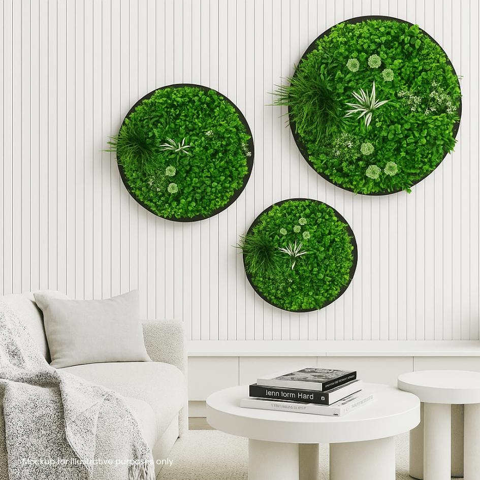 Triple Disc Bundle - 3 x Blossom (S,M,L) - Evergreen Walls