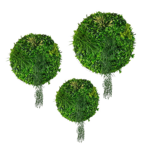 Triple Disc Bundle - 3 x Sunset (S,M,L) - Evergreen Walls