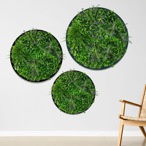 Triple Green Disc Bundle - 3 x Lavender (S,M,L) - Evergreen Walls