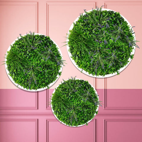 Triple Green Disc Bundle - 3 x Lavender (S,M,L) - Evergreen Walls