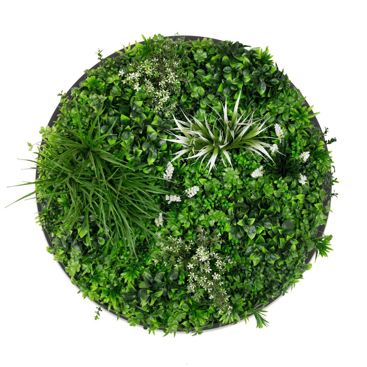 Triple Green Disc Bundle - 3 x Spring (S,M,L) - Evergreen Walls