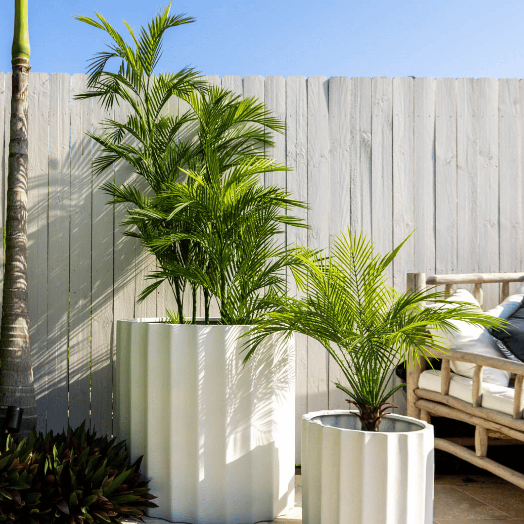 Triple Plant Bundle - 3 x Faux Areca Palms (S,M,L) - Evergreen Walls