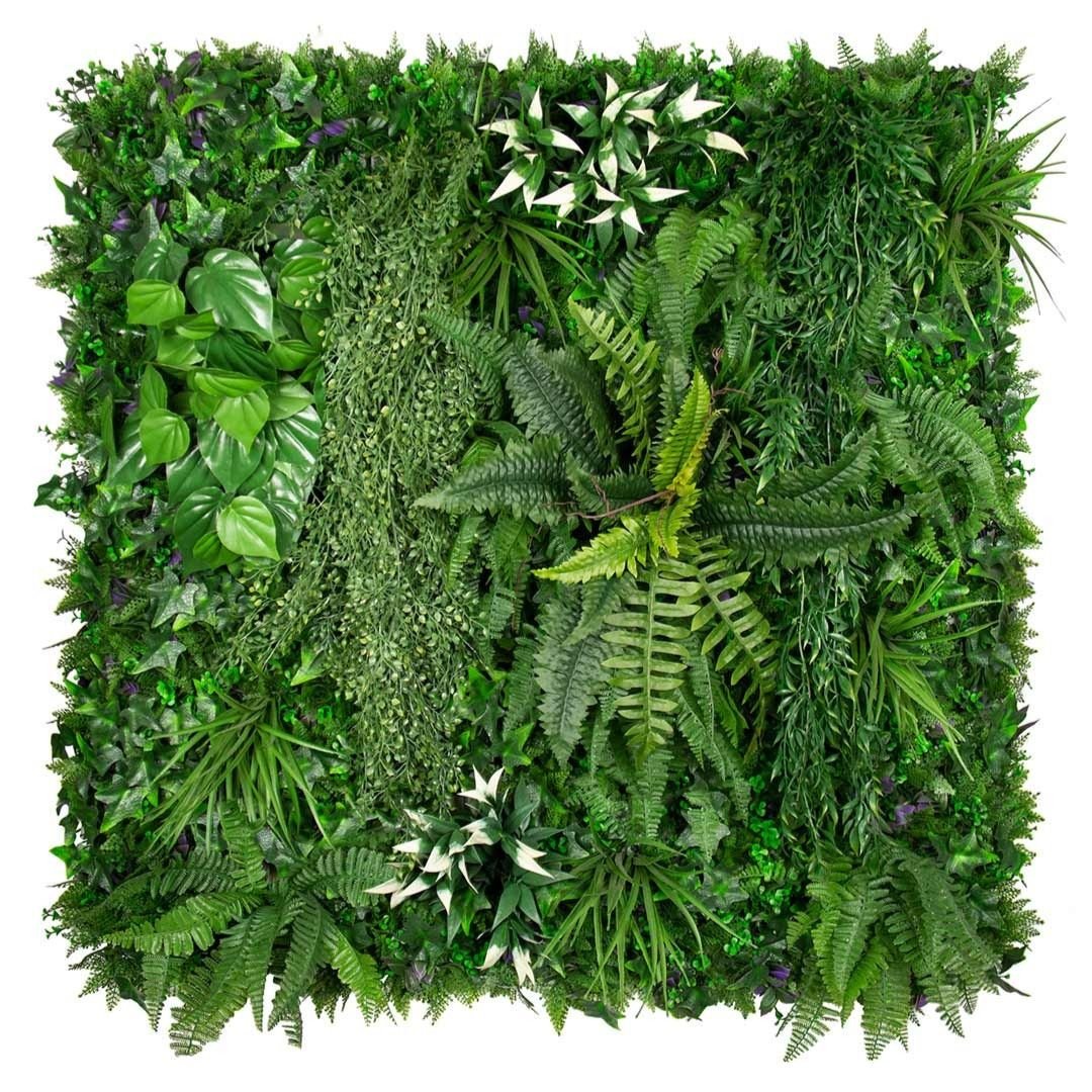 Urban Garden - Evergreen Walls