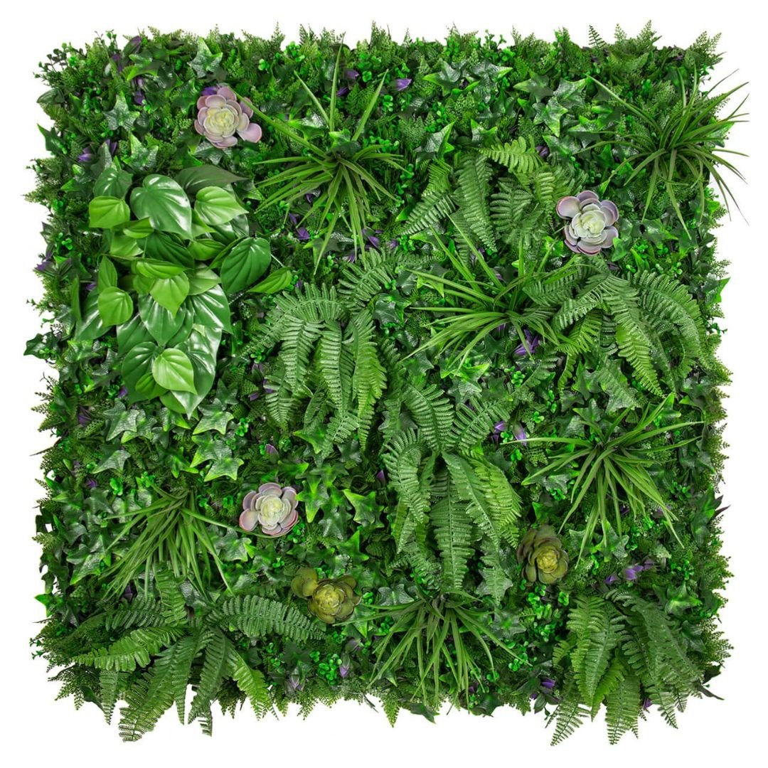 Urban Succulent - Evergreen Walls