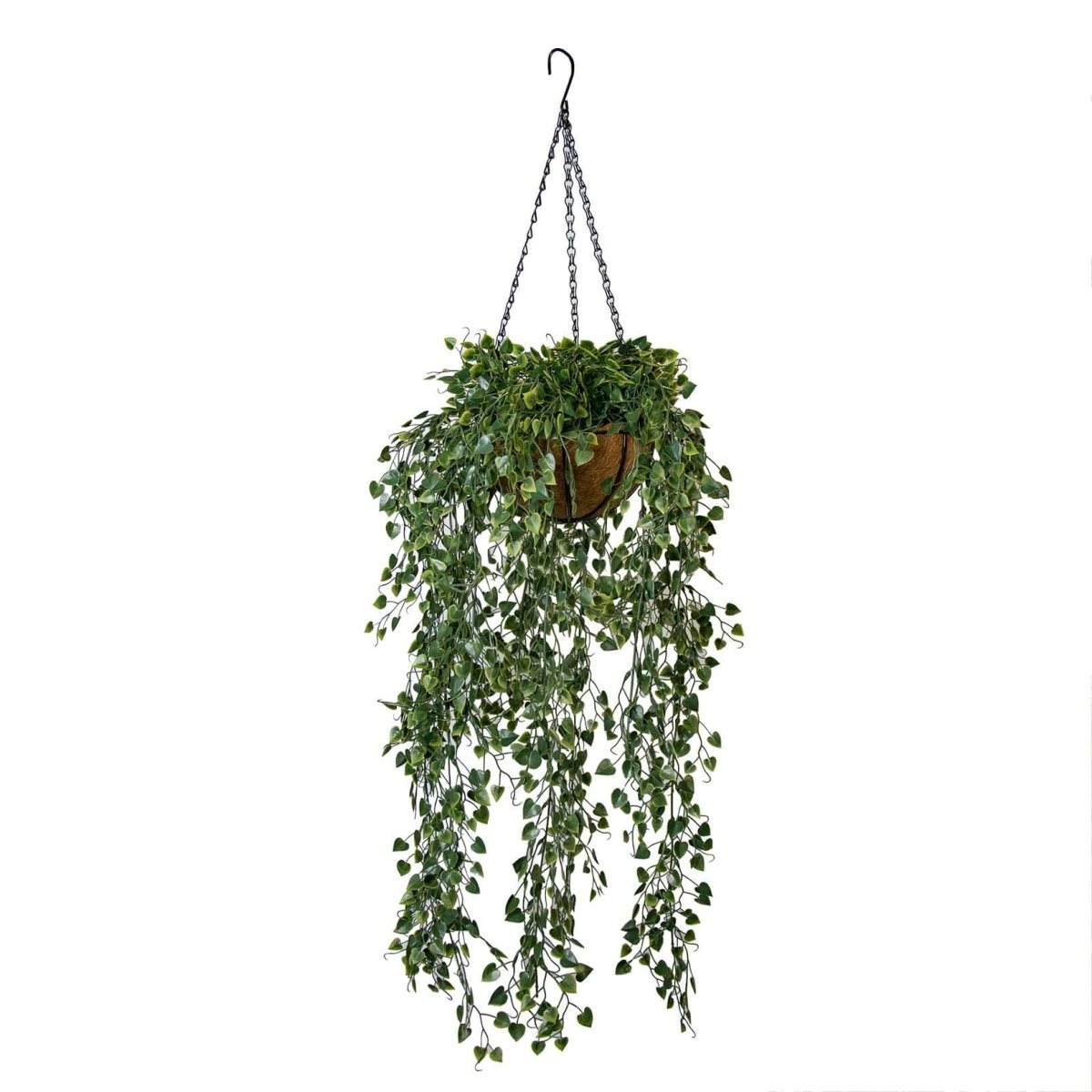 Angel Vine Hanging Basket (UV) - Evergreen Walls