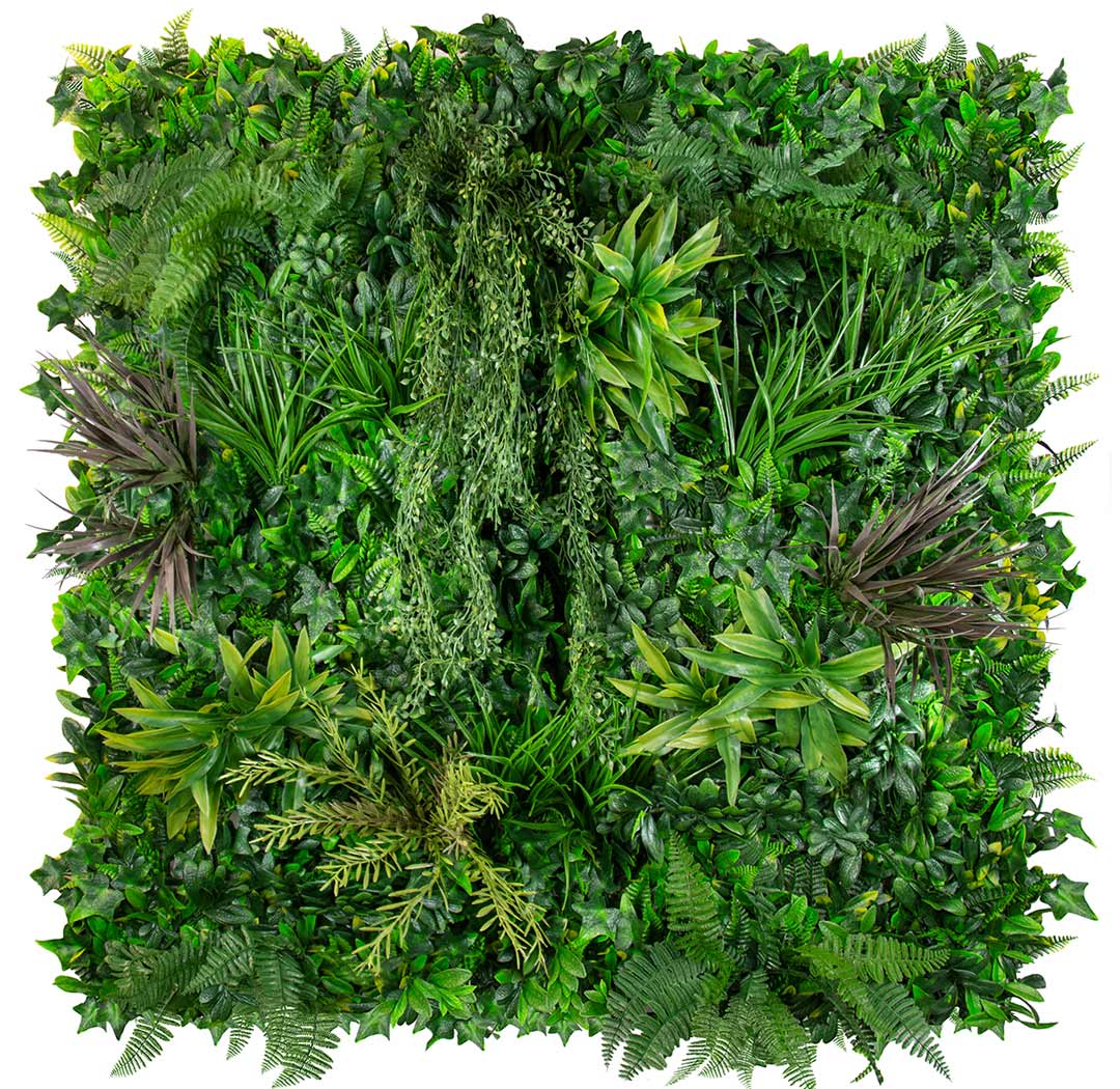 Coastal Crimson - Evergreen Walls