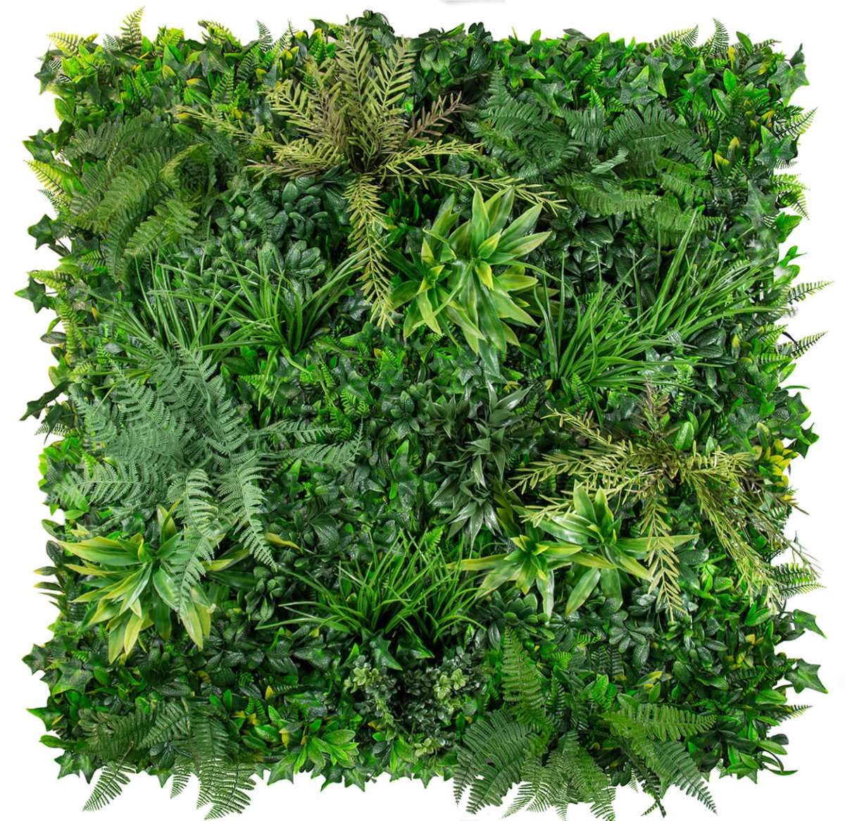 Coastal Deluxe - Evergreen Walls