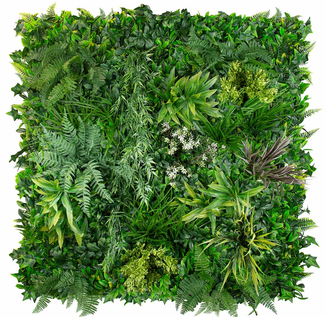 Coastal Luxe - Evergreen Walls