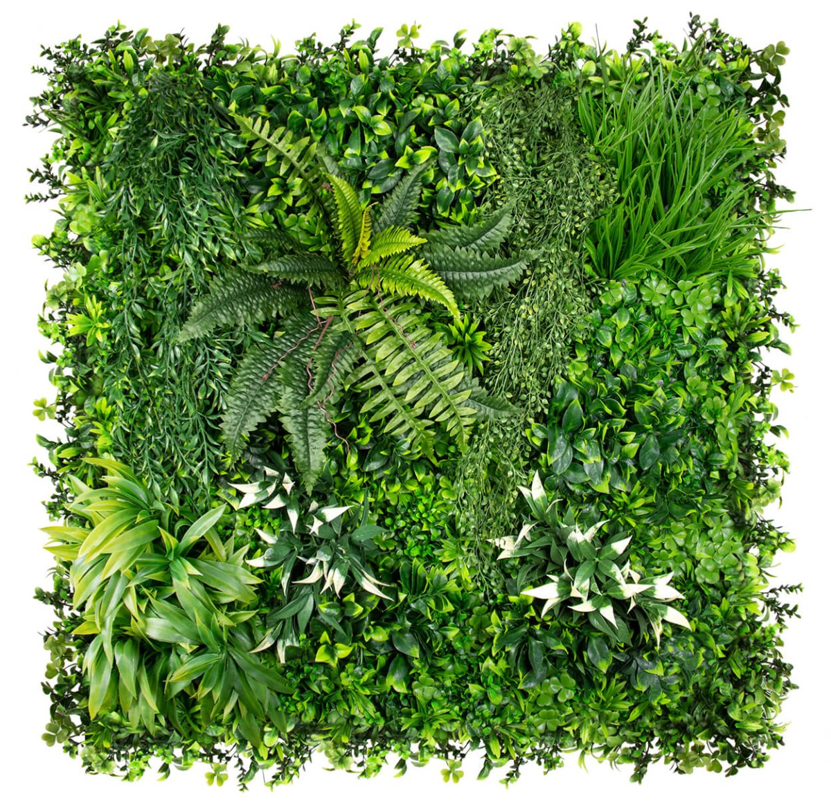 Country Garden - Evergreen Walls