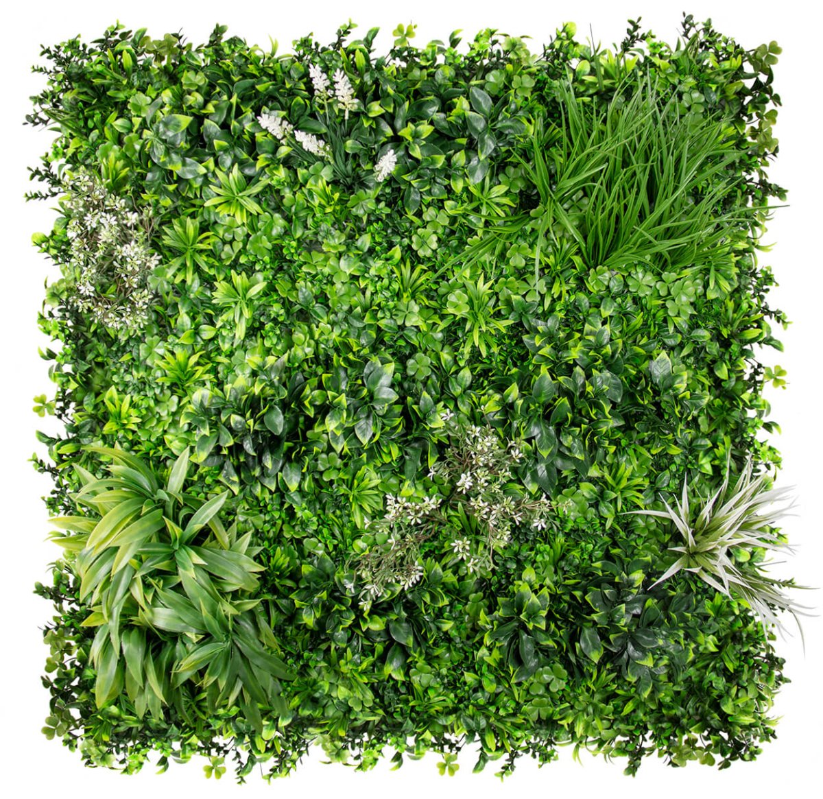 Country Spring - Evergreen Walls