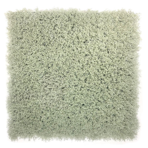 Evergreen Moss London Fog - Evergreen Walls